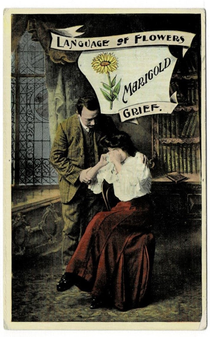 1909 Grief Marigold Language of Flowers Postcard