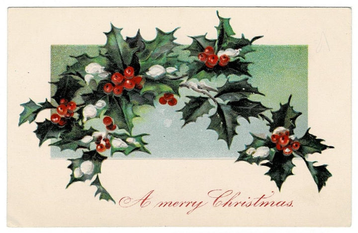1908 Christmas Holly & Berries Postcard