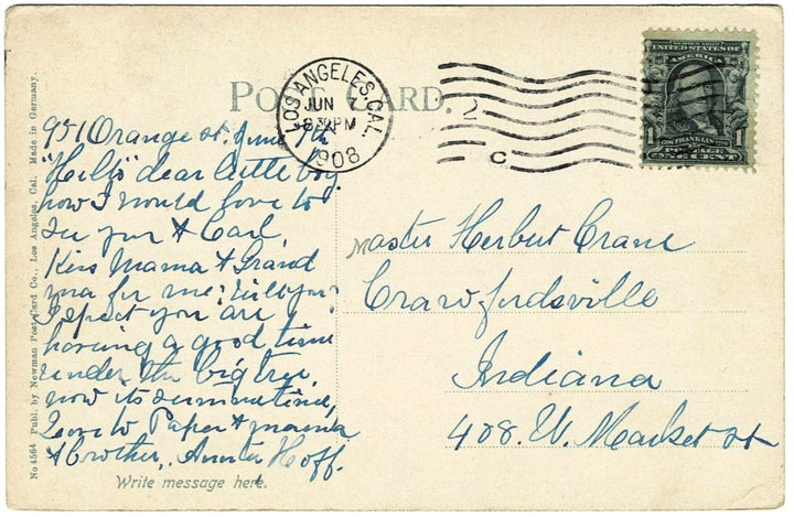 1908 California Orange Orchard Postcard