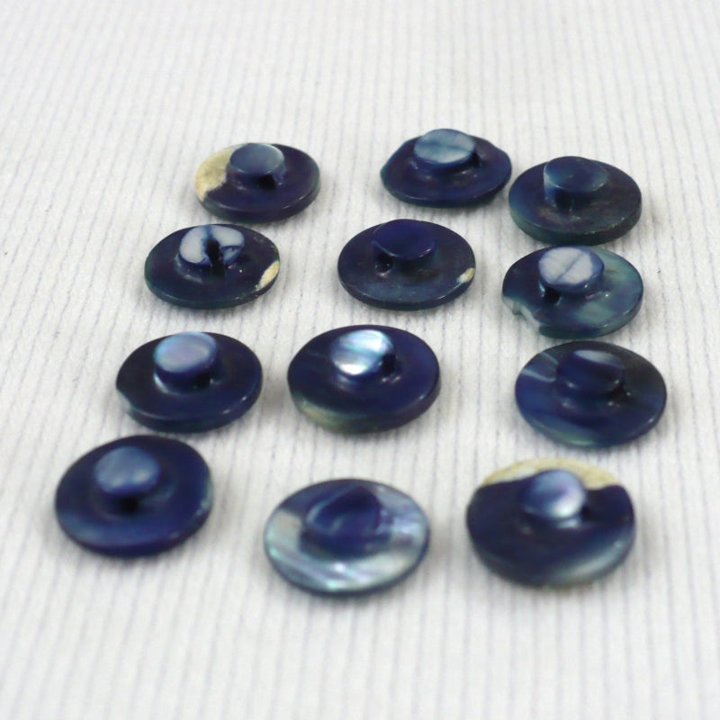 15L Blue Abalone Shell Shank Buttons