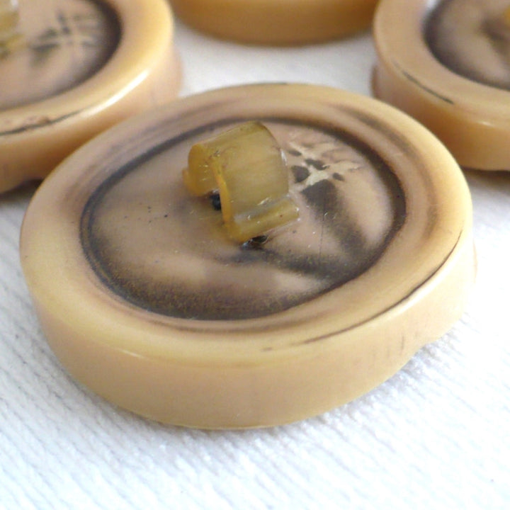 43L Celluloid Brutalist Shank Buttons