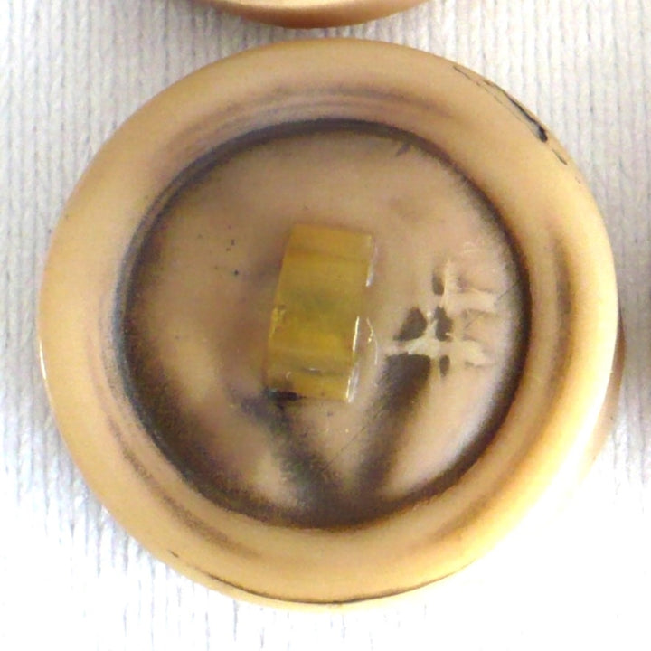 43L Celluloid Brutalist Shank Buttons