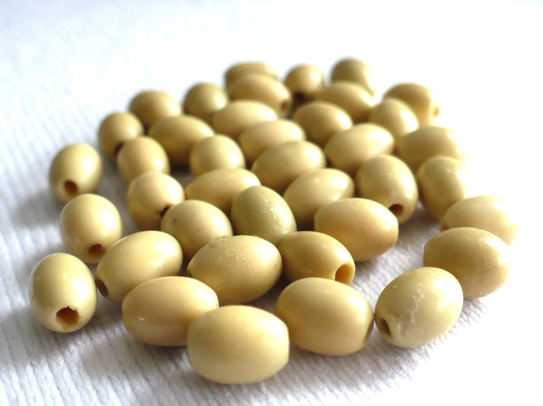 Batch 1910s Vintage 5x7mm Smooth Oval Vegetable Ivory Beads