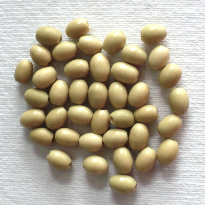 Batch 1910s Vintage 5x7mm Smooth Oval Vegetable Ivory Beads