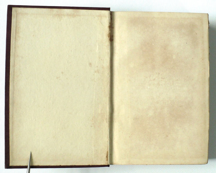 Bianca Cappello by Mary G. Steegmann 1913 First Edition.