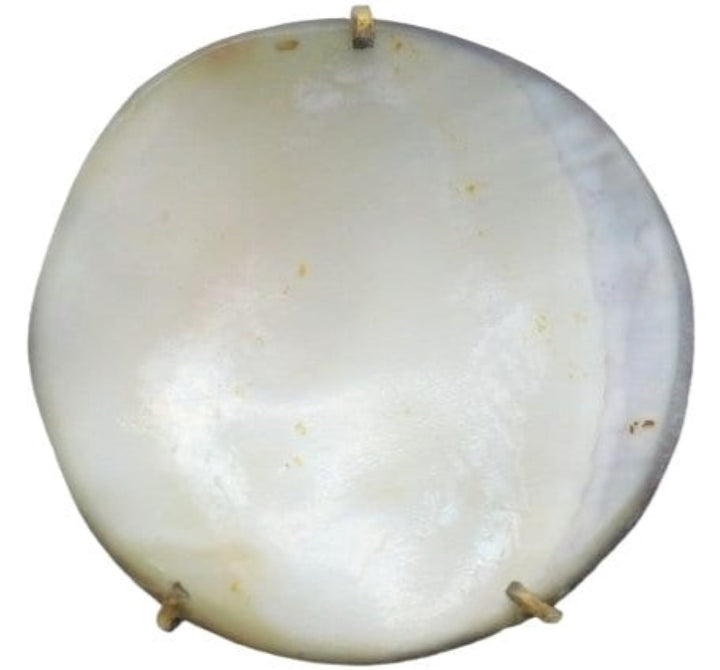 1950s Natural Silver-lipped Pearl Oyster Brooch.