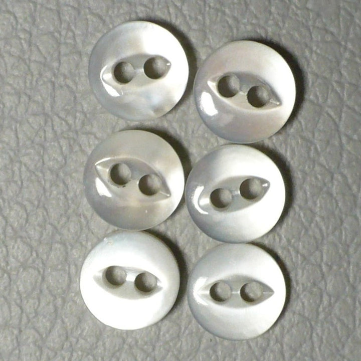 8L Fish Eye Two Hole Pearl Shell Diminutive Buttons