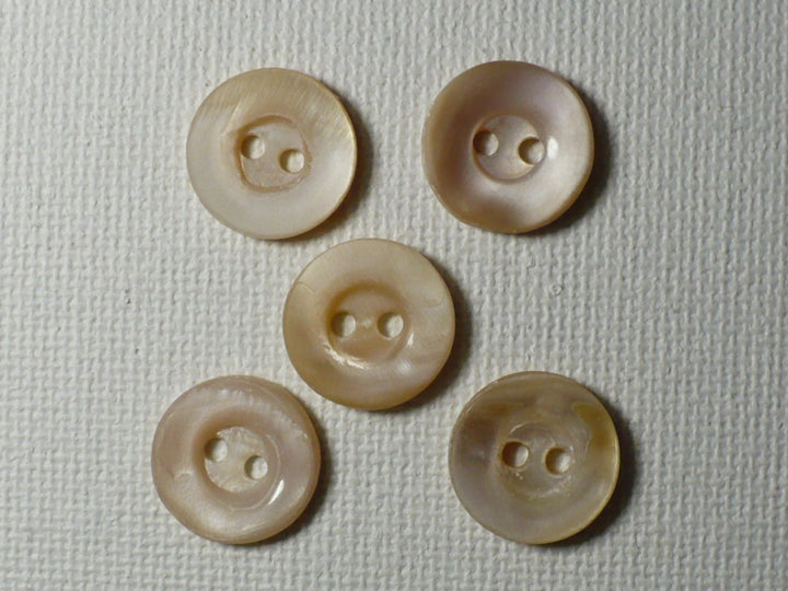 19L Two Hole Peach Conch Shell Buttons