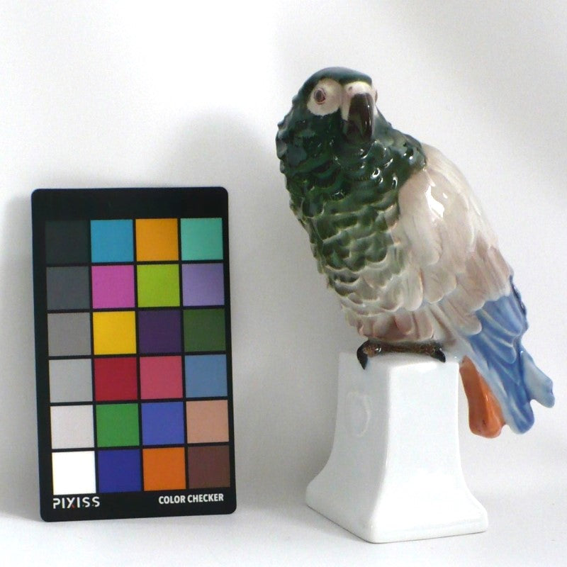 1919 Porcelain Parrot by Moldenhauer for Rosenthal