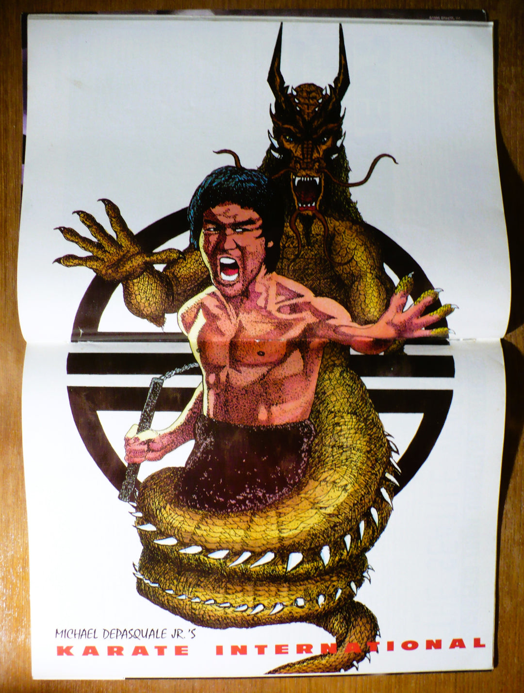 Bruce Lee Illustrated Dragon Centerfold Poster