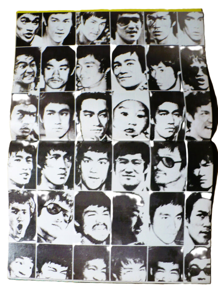 The 36 Faces of Bruce Lee Centerfold Poster