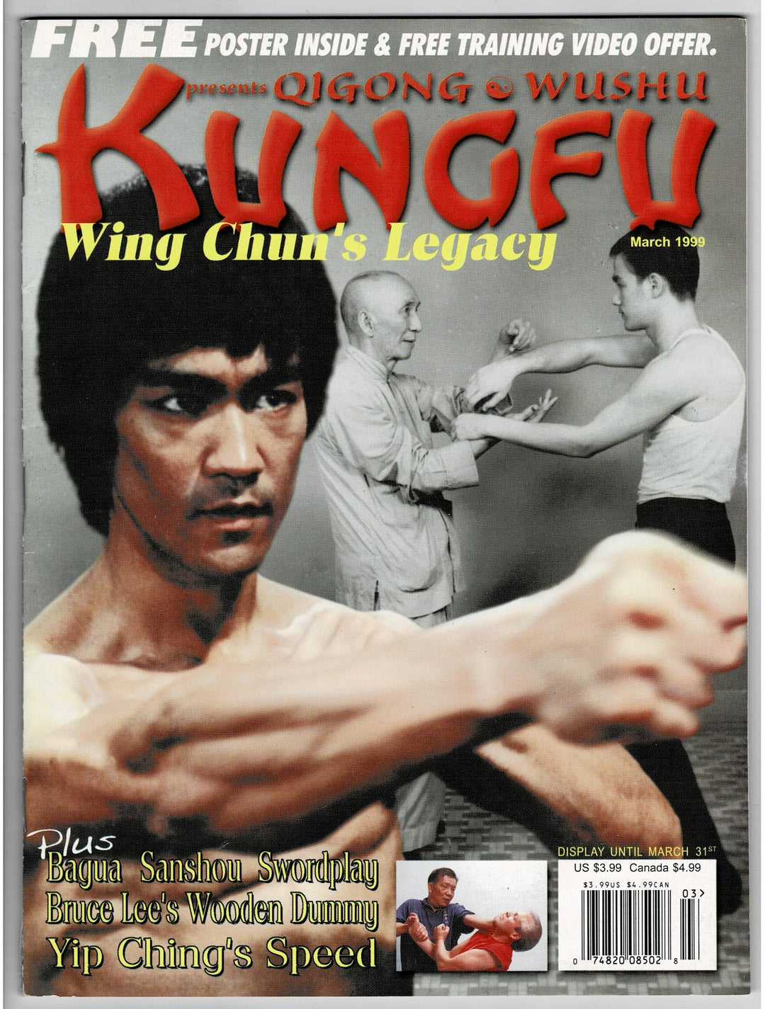 Yip Ching Wing Chun Centerfold Poster