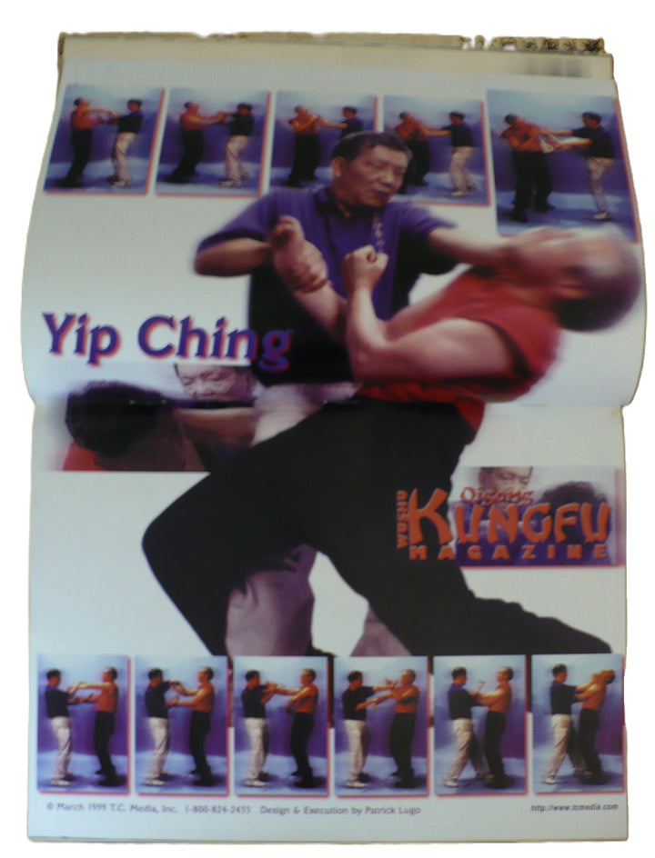 Yip Ching Wing Chun Centerfold Poster