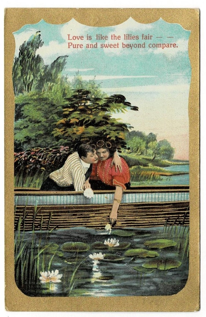 1909 Water Lilies on Lake Postcard