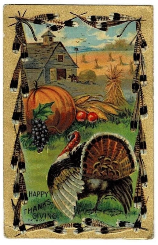 1910 Thanksgiving Harvest Postcard