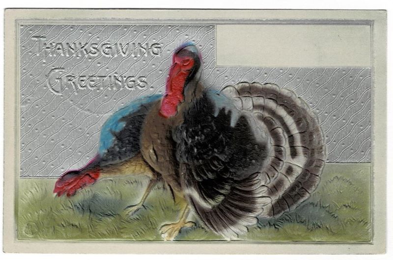 1916 Tom & Hen Turkeys Thanksgiving Postcard