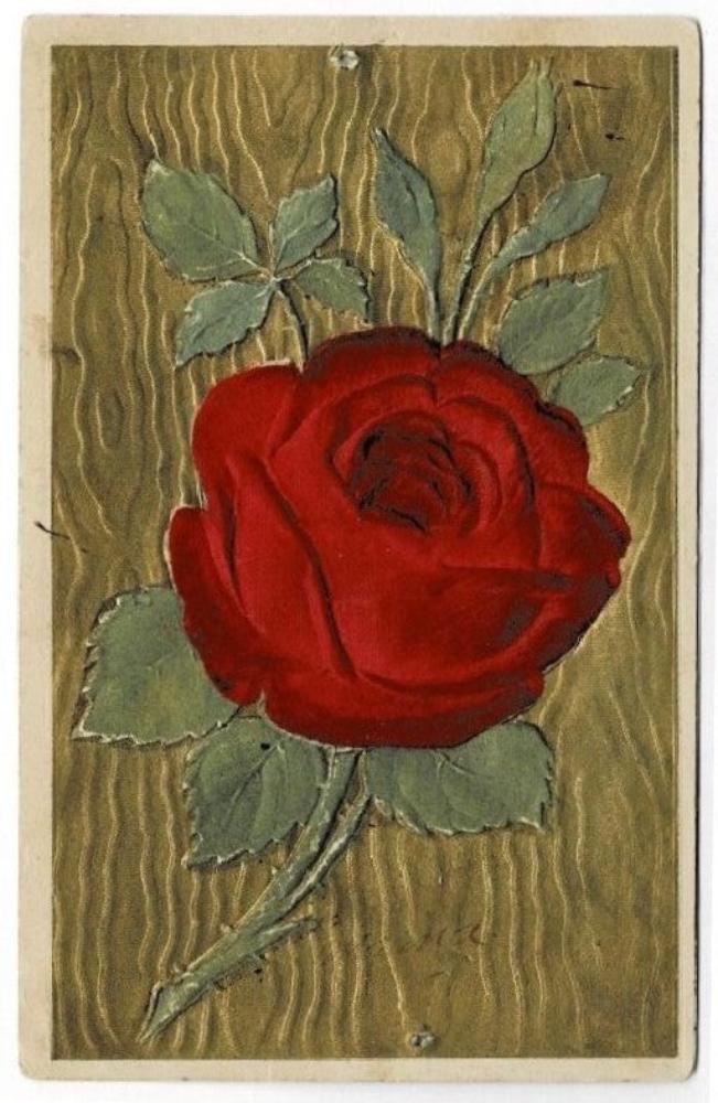 1910 Red Velvet Rose Postcard