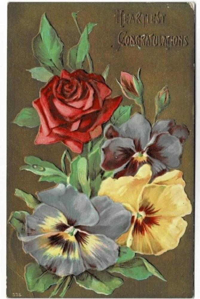 1909 Floral Spray Congratulations