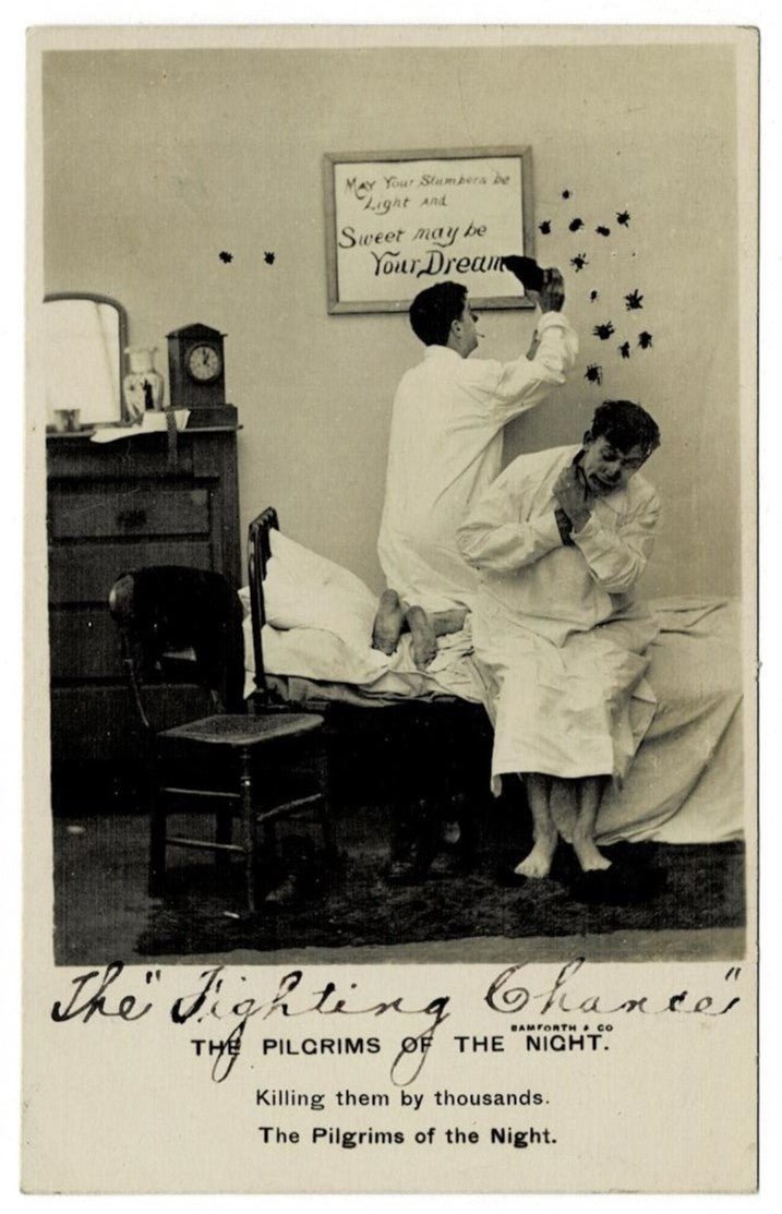1907 Boarding House Bedbugs Postcard
